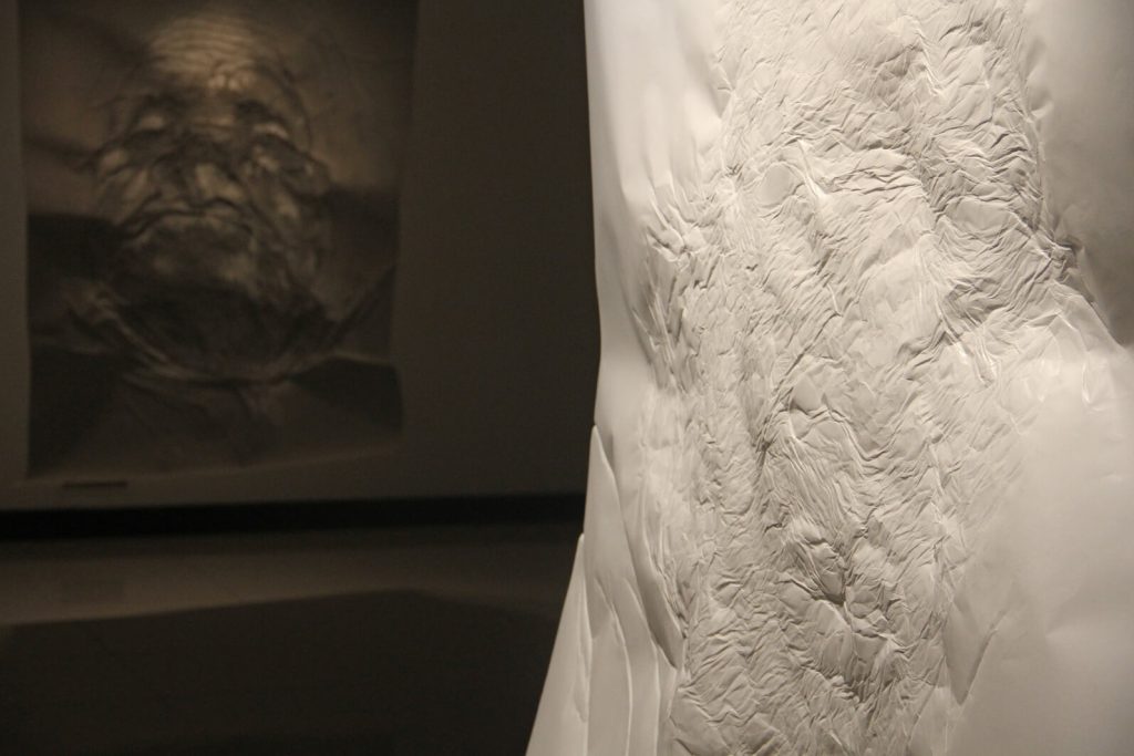 Anónimos. Retratos de Papel. Instituto Cervantes. New Delhi, 2014